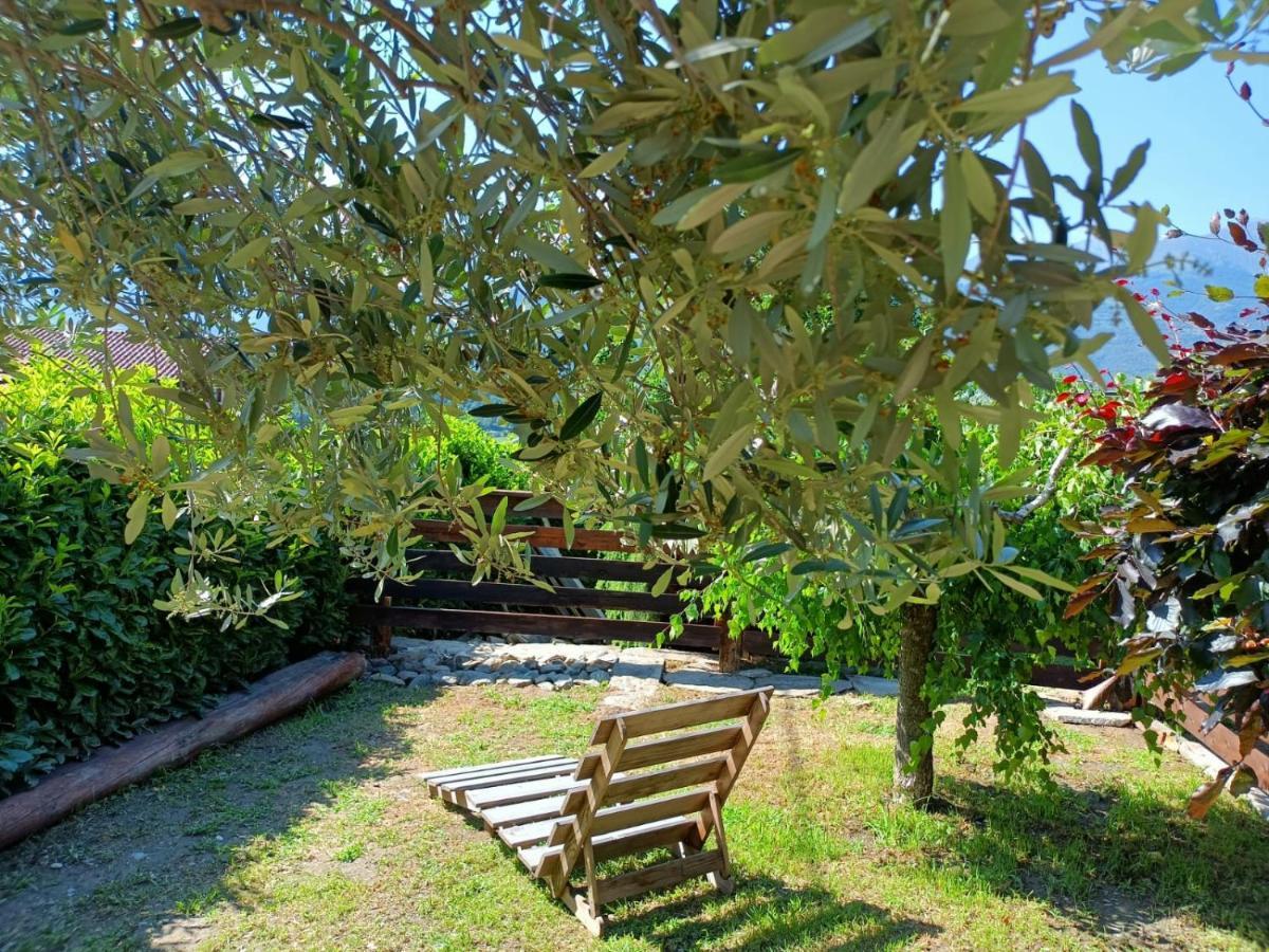 Rosina House E Chalet Colico Dış mekan fotoğraf