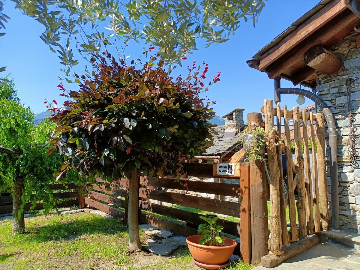 Rosina House E Chalet Colico Dış mekan fotoğraf