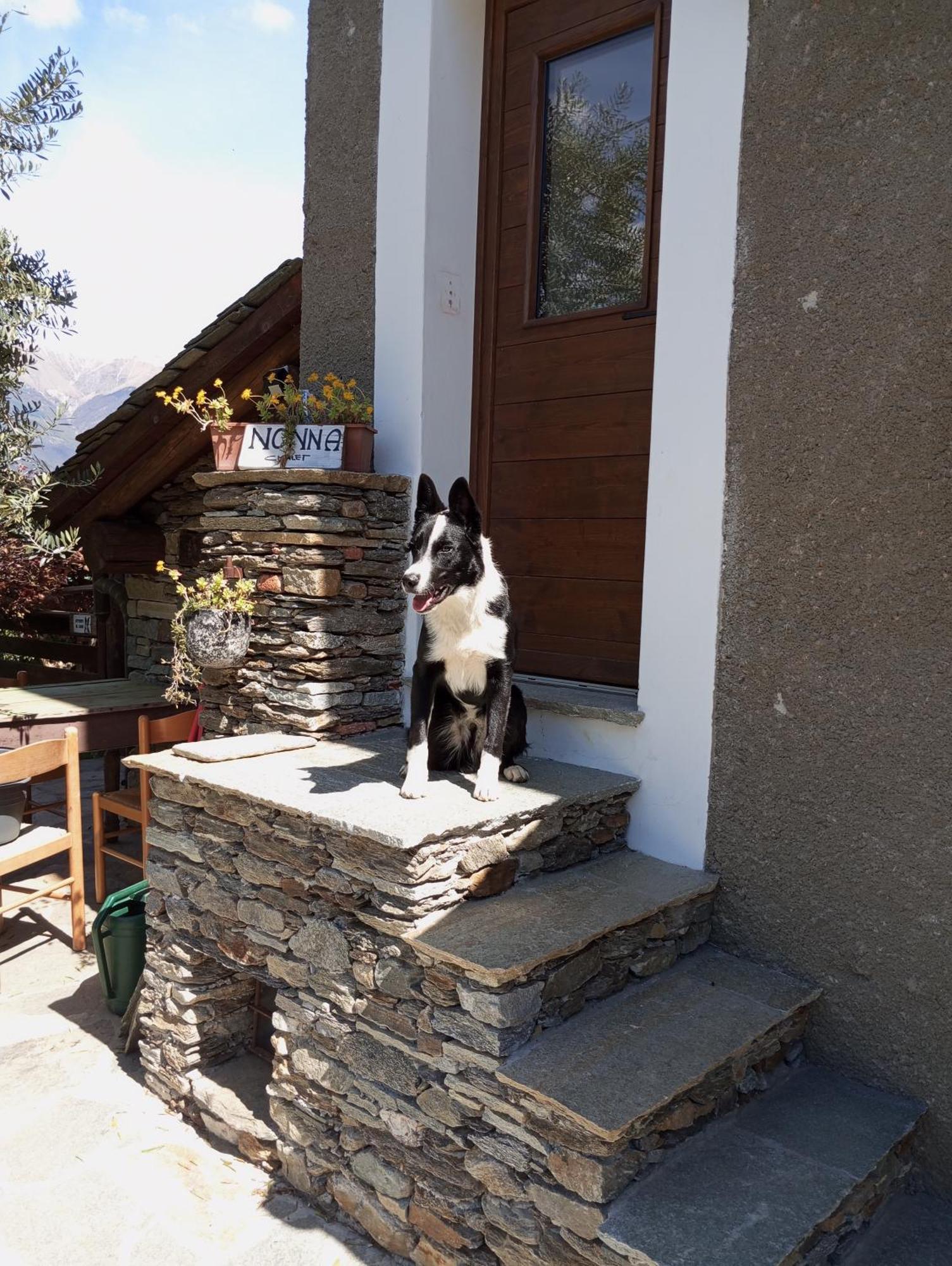 Rosina House E Chalet Colico Dış mekan fotoğraf