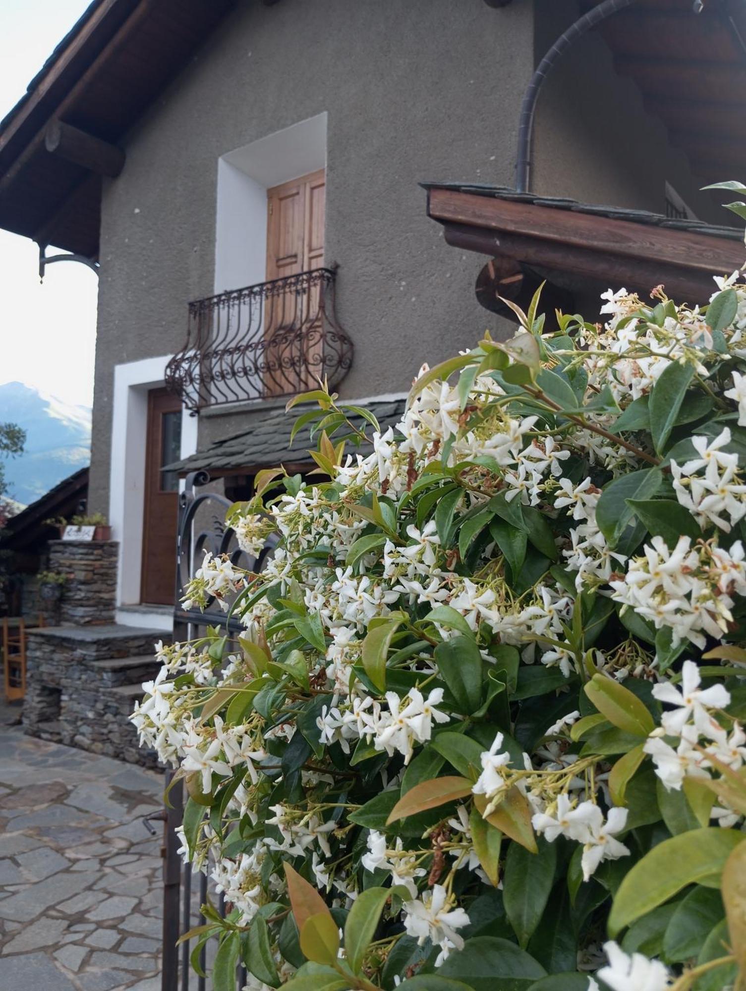Rosina House E Chalet Colico Dış mekan fotoğraf